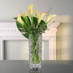 Schlussverkauf ⌛ Nachtmann Bossa Nova Vase, 28,00 Cm 🎁 16 Schlussverkauf ⌛ Nachtmann Bossa Nova Vase, 28,00 Cm 🎁 -Angebote Nachtmann Store unnamed file 1192