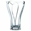 Top 10 🌟 Nachtmann Vorteilsset 4 X 1 Glas/Stck Vase 36/59/24cm Calypso 81211 Und Gratis 1 X Trinitae Körperpflegeprodukt 😀